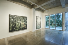 GANGNAM  ART  GALLERY