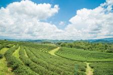 하늘과 가장 가까운 태국의 얼굴