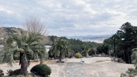 제주 로컬처럼 산책하기 좋은, 사라봉공원