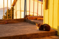 일거양득 인생 섬 여행,  매물도 & 소매물도