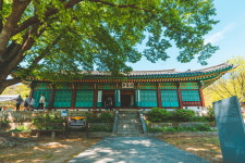 초여름의 강화도, 왕의 길을 걷다