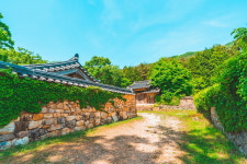 여름 영화의  한 장면처럼,  해남