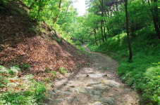 것대산 꼭대기에서 통쾌한 전망을 즐기다