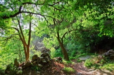 것대산 꼭대기에서 통쾌한 전망을 즐기다