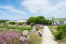 넓은 하늘을 이고 사는 섬,  가파도