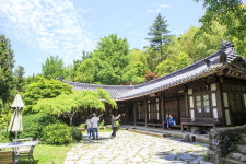 어느 푸른 날, 기장의 숲을 거닐다