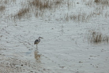 실하게 가을이 무르익은 곳 강진