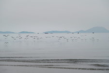 하루에 섬 하나, 고립의 자유  승봉도와 자월도