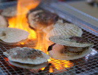 해산물 러버를 위한 고성 맛집 탐방