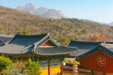 마음 충전! 고양시 힐링 스폿 3 