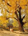 경상남도, 美