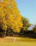 경상남도, 美
