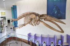 목포 핫플 다음은 갓바위 문화타운!