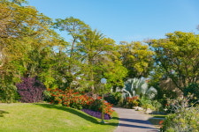 이스라엘의 두 가지 보물 사해 & 엔게디 