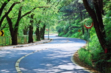 휘파람 불며 걷는 청주  세 개의 옛길