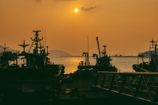 완도일미 : 바다의 맛