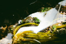 완도일미 : 바다의 맛