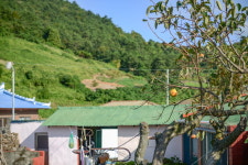 다시 갈 수밖에, 개도 여행