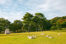 에디터 픽 원주 맛집 3 feat. 시티투어 & 숙소 추천