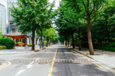 종로 모더니스트, 문학의 길