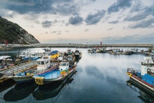 겨울에는 남쪽 섬, 여서도로 