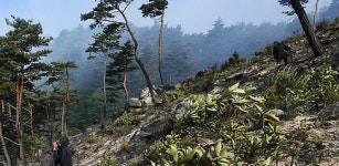 강원도 산불 모두 진화...잠정 340ha 소실