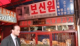 동물보호단체, 전국 12개 시·도 개고기 65%에서 항생제 검출 결과 발표