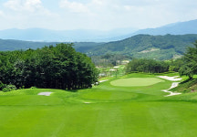 골프장 개소세 소폭 감소…대중제 비중 확대