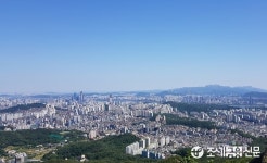 국민 10명중 9명 ‘도시 거주’...70년대 50.1%서 지난해 91.8%