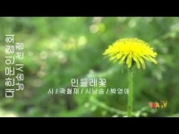 [詩가 있는 아침]민들레꽃