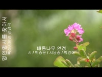 [詩가 있는 아침]배롱나무 연정