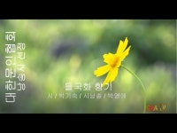 [詩가 있는 아침]들국화 향기