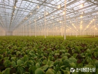 KOTRA, 신북방에 한국형 스마트팜 진출 길 연다
