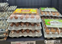 AI 피해 양계농가에 긴급경영 안정자금 10월까지 무이자 대출