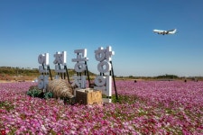 인천공항 하늘정원에 코스모스 꽃밭 조성…코스모스와 ‘인생샷’ 남겨요!
