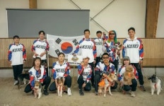 어질리티 한국대표팀, WAO챔피언십서 개인 종합 4위-팀전 아시아 1위