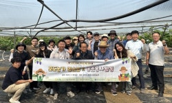 화우·바른·동인, 포도농가 일손 돕기 봉사활동 함께 진행