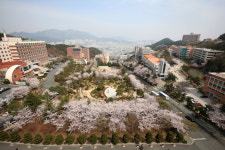 [2017 학생부종합전형]동의대학교