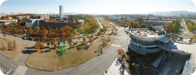 [2017 정시입학정보]영남대학교