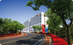 [2019 수시입학정보]고려대학교 세종캠퍼스