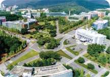 [2019 정시입학정보]대구가톨릭대학교