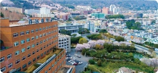 [2020수시입학정보]경남대학교