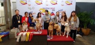 연암대, 2020 필리핀 서킷(국제 도그쇼 대회) 챔피언 타이틀 9개 수상