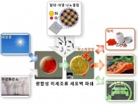 부산대 연구팀, 석영 나노면도날 이용 마이크로 미세조류 파쇄 기술 개발