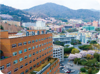 [ 2021 정시 입학정보 ] 경남대학교
