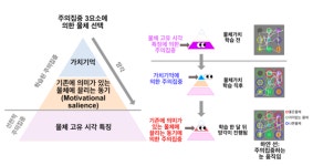 서울대 연구팀, 인간의 주의집중 3요소 최초 규명