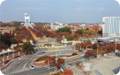 [2023 정시 입학정보] 대구대학교