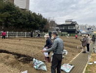 전남대 도시 텃밭 개장