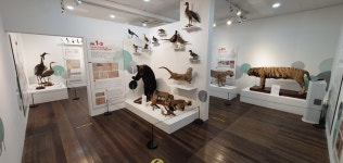 경북대 자연사박물관, ‘한반도 생태환경 비사(秘史)’ 기획전