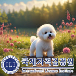 애견훈련 관심자 위한 펫시터·반려동물관리사 자격증 무료수강 진행